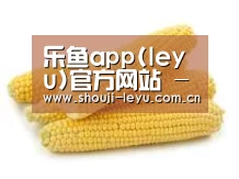 产品名称五