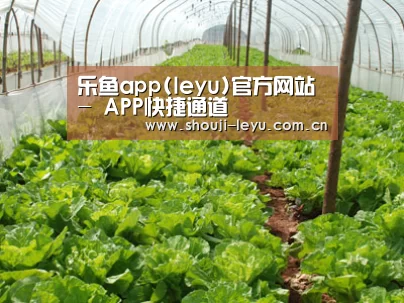 种植基地五