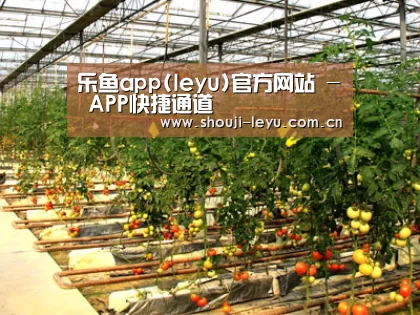 种植基地二