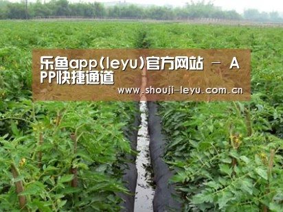 种植基地三