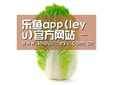 产品名称一(图1)