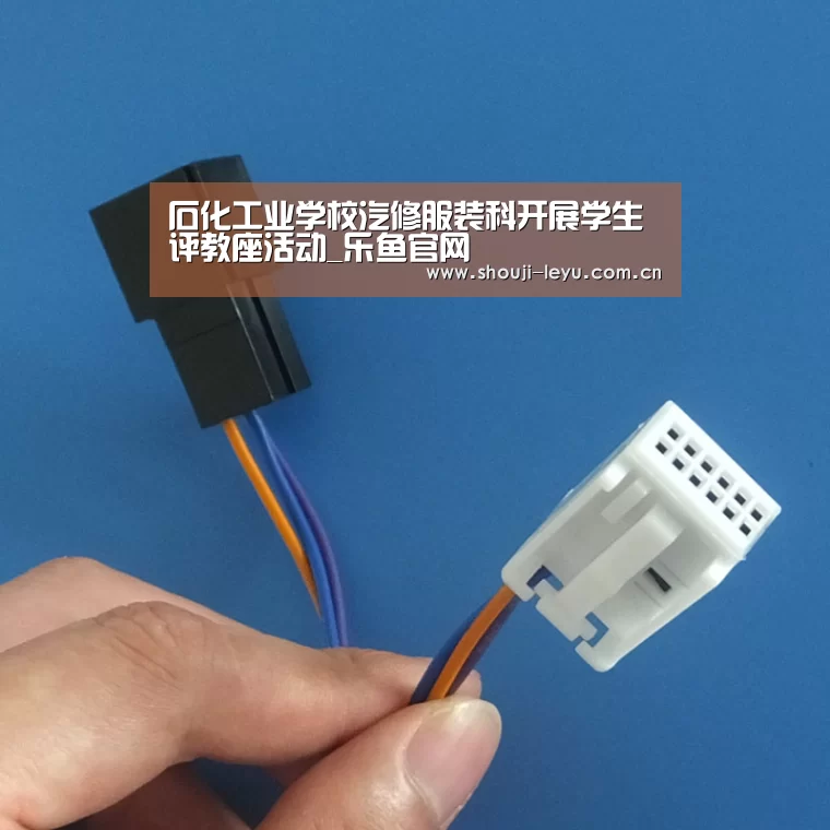 乐鱼体育官方网站入口