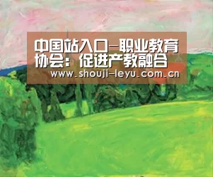 中国站入口