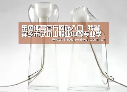 乐鱼官网