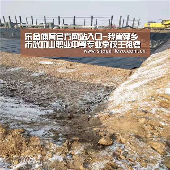 官方登录通道