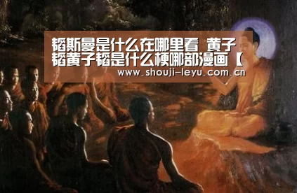 中国站入口