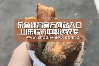 中国站入口